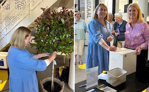 Doe een wens voor 65-plussers bij de Wensboom