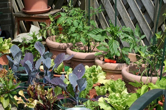 Onafhankelijk Papendrecht: ¨Gemiste kans om de moestuinen goed te saneren¨