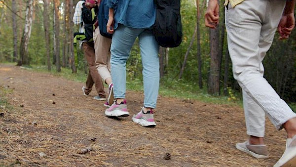 Wandel je fit met de Nationale Wandeluitdaging bij AV Passaat