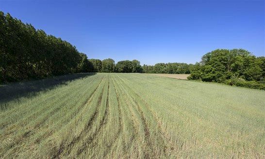 Provincie Zuid-Hollande investeert € 340.000 in groenblauwe dooradering in de Zuid-Hollandse Delta