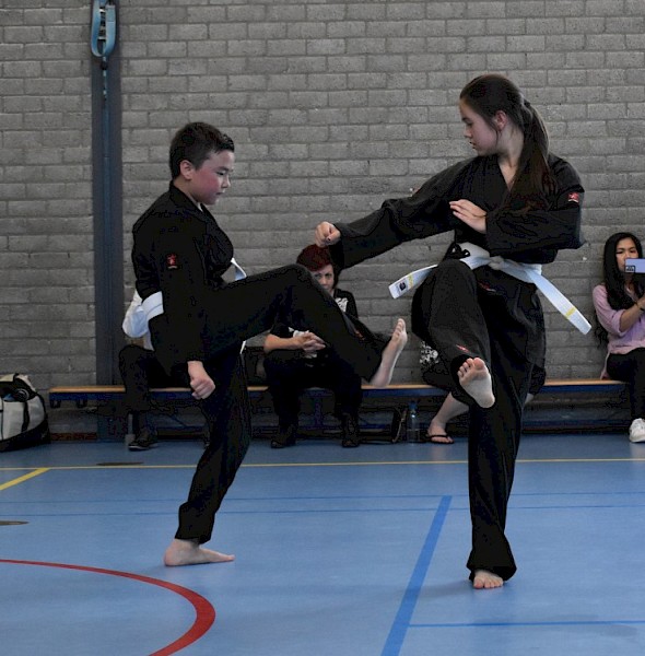 Yin & Yang Kemposchool Papendrecht