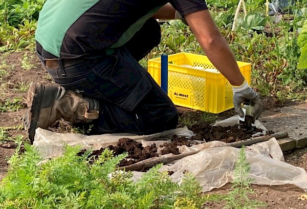 Resultaten aanvullend onderzoek moestuinen naar verwachting